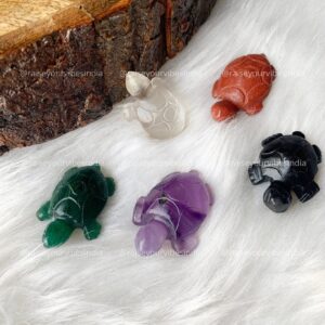 Natural Mini Tortoise | 100% Authentic & Natural