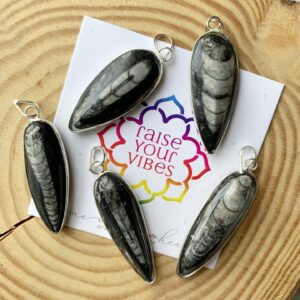 Kuber Stone - Small Orthoceras Polished Pendant (Financial Stability) | 100% Authentic & Natural