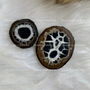 Black Cabochon Septarian Crystal Stone