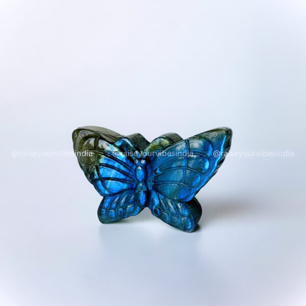 Energised Labradorite Butterfly🦋