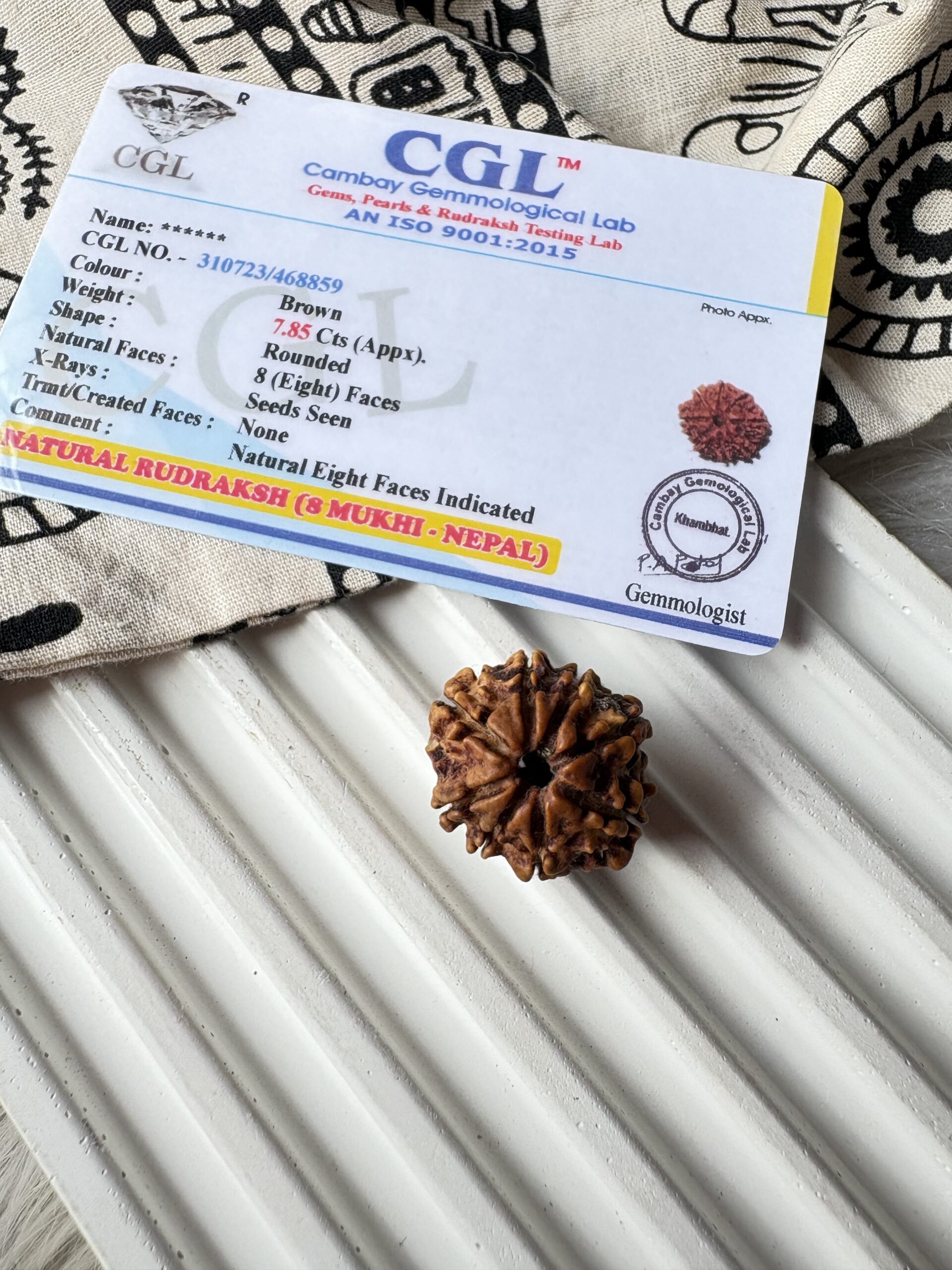 Energised Nepali Rudhraksh 8 Mukhi