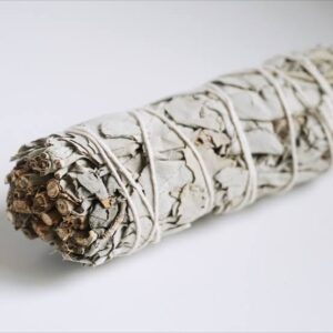 🍃 California white sage 4 inches smudging bundles