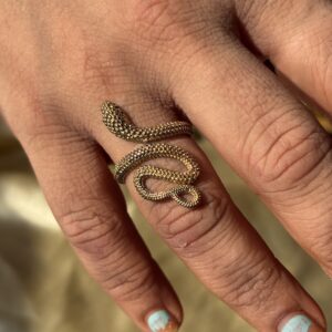 Boho Snack Ring