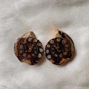 Ammonite small Raw Pair For Karma Clearing