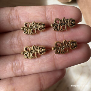 Shiv Charms