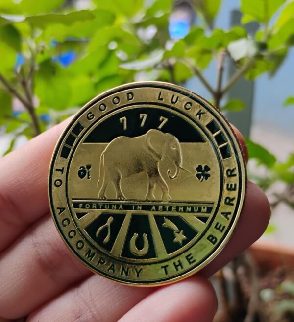 Energised Good Luck Coin - Image 2
