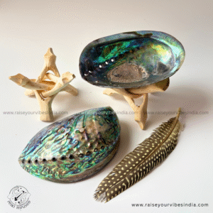 Abalone Shell with Stand and Feather