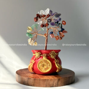 ✨ Reiki Energised Fengshui 🌈7 chakra & Wealth pot