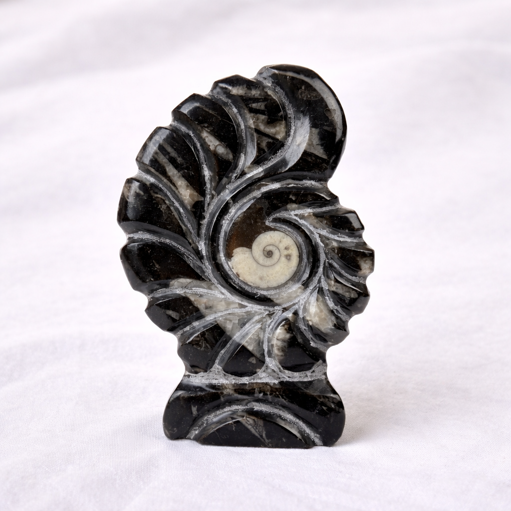 Energised ORTHOCERAS – KUBER STONE ( FINANCIAL STABILITY)