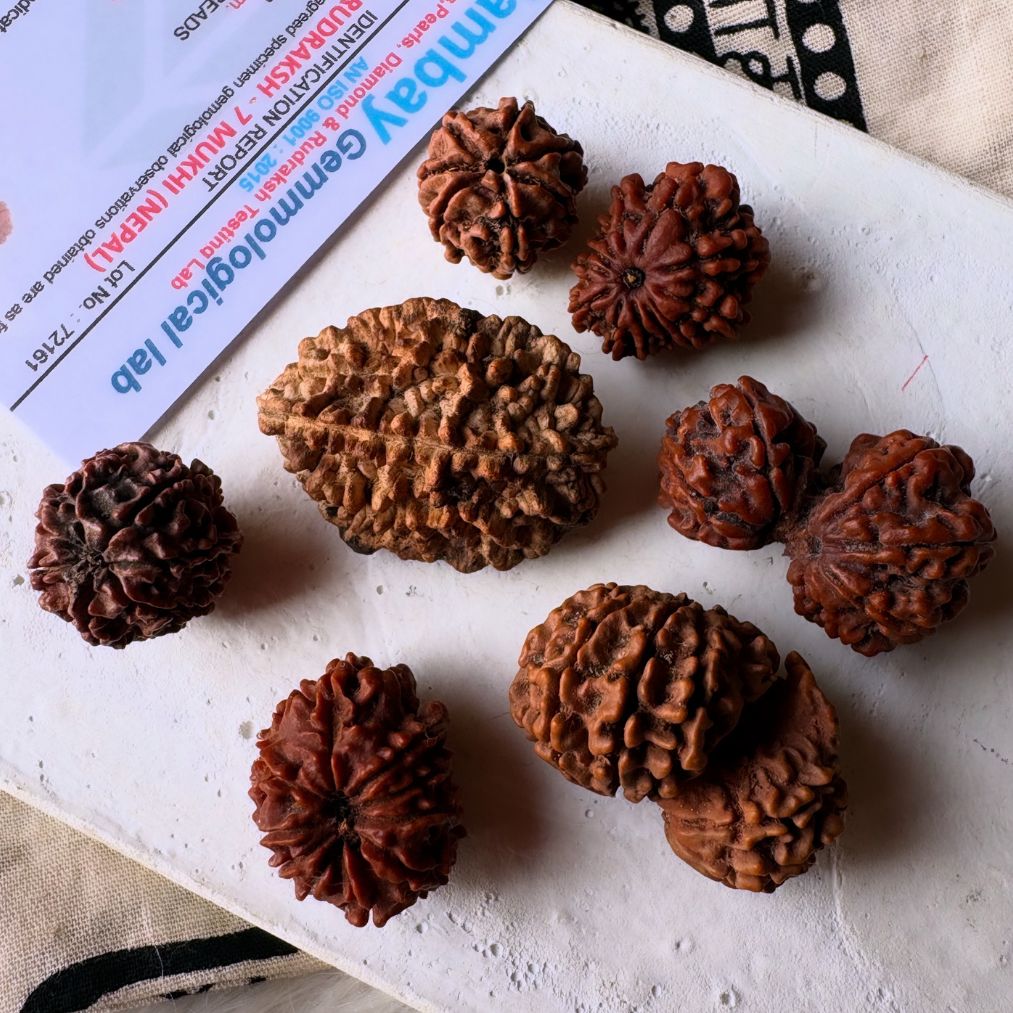 Rudraksha