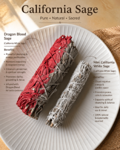 🍃 Dragon Blood California white sage 4 inches smudging bundles